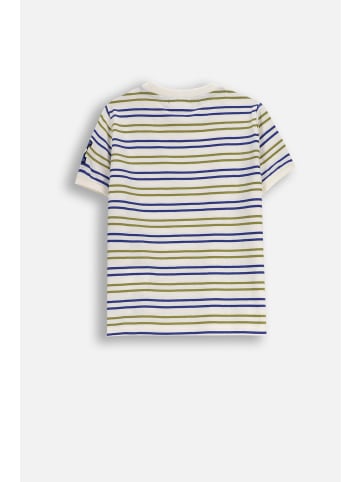 Coccodrillo T-Shirt aus Baumwolle in bunt