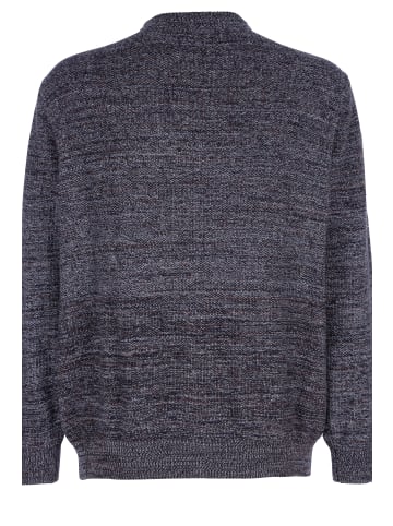 Men Plus Pullover in taupe