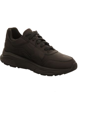 Xsensible Schnürschuhe in schwarz