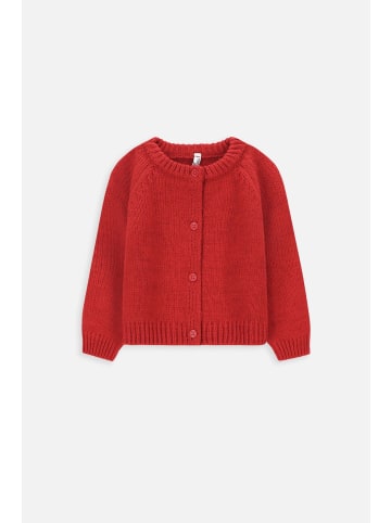 Coccodrillo Pullover in rot