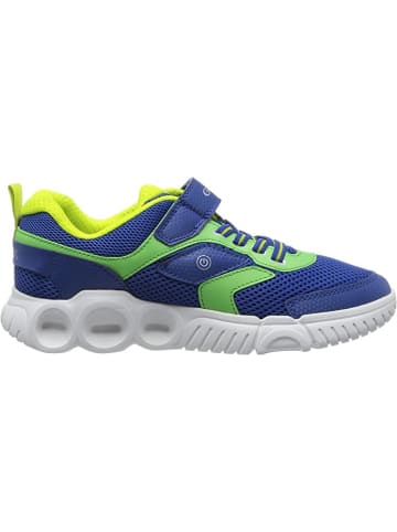 Geox Sneaker für Jungen in blau