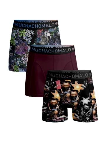 Muchachomalo 3er-Set: Boxershorts in Multicolor