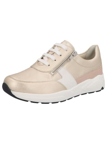 Solidus Damen- Schnürschuhe Mia - Weite M in Beige