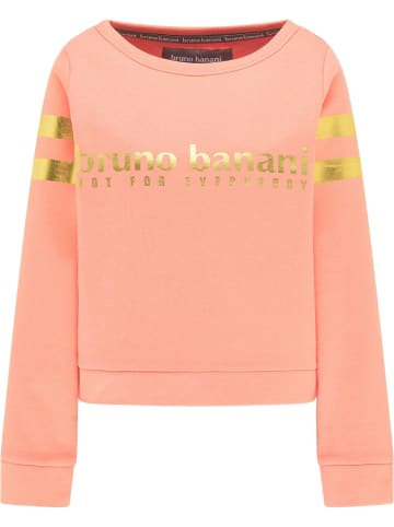 Bruno Banani Langarmshirt GRIFFIN in Apricot