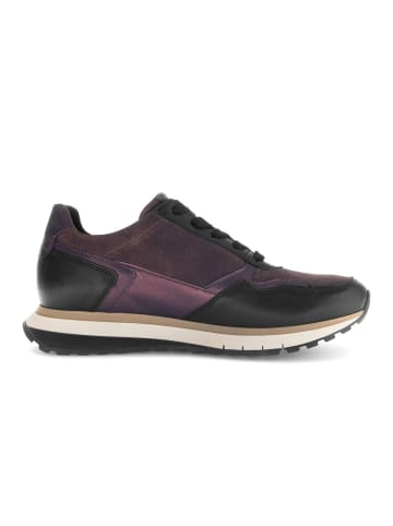 Gabor Comfort Sneaker low in multicolour