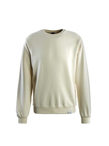 iriedaily Sweatshirt in Beige