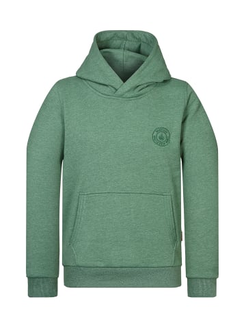 naketano Sweat Hoody Theo's Lieblingspulli Pine Green Melange