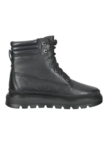 Timberland Stiefelette in Schwarz