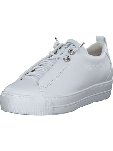 Paul Green Schnürschuhe in white/silver