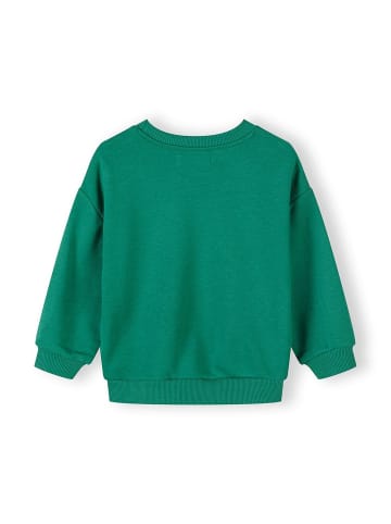 Minoti 2-er Pack Sweatshirt 29FLEECE200 in grün