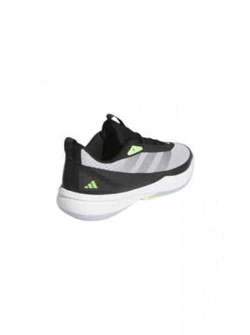 adidas Performance Sneaker Low JI3495 Mehrfarbig