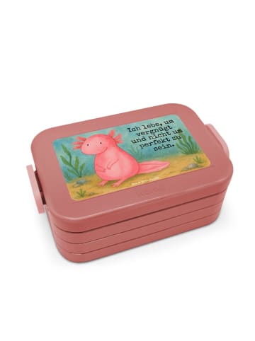 Mr. & Mrs. Panda MEPAL Bentobox Axolotl Niedlich Design mit Spruch in Rot Pastell