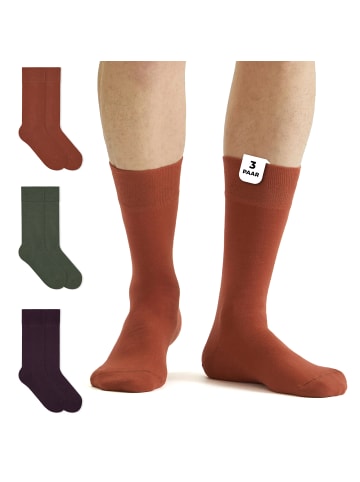 von Jungfeld Classic Socken Mehrfarbige Sets in Timber