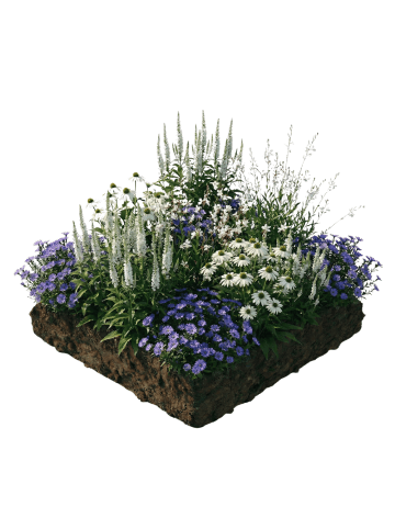 NatureNest Staudenpaket Yara weiß blühend mehrjährig in Weiß