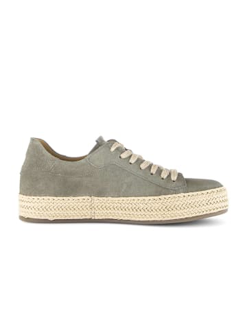 Gabor Sneaker low in grün