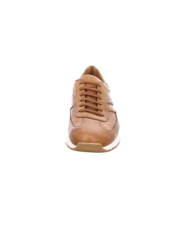 LLOYD Sneaker für Herren in braun