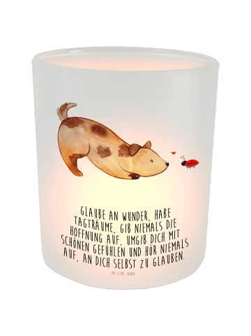 Mr. & Mrs. Panda Windlicht aus Glas Hund Marienkäfer mit Spruch in Transparent