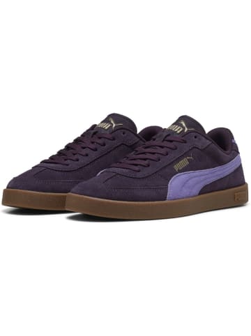 Puma Sneaker "Club II Era Suede" in Lila