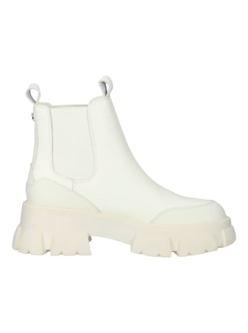 Steve Madden Stiefelette in Bone