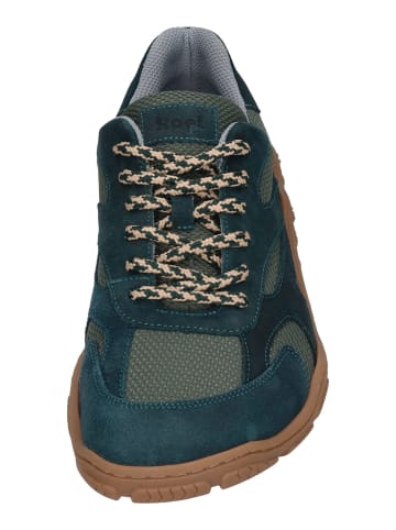 KOEL Sneaker Low RALPH in braun