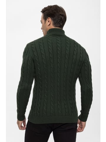 Felix Hardy Pullover in Grün