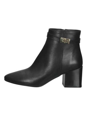 Scapa Stiefelette in Schwarz