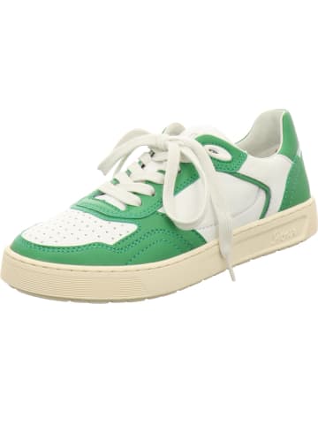 Sioux Sneaker Low in grün