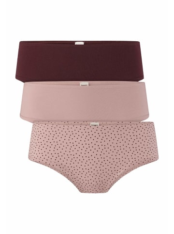 Hessnatur Panty Regular Cut im 3er Pack in bordeauxrot