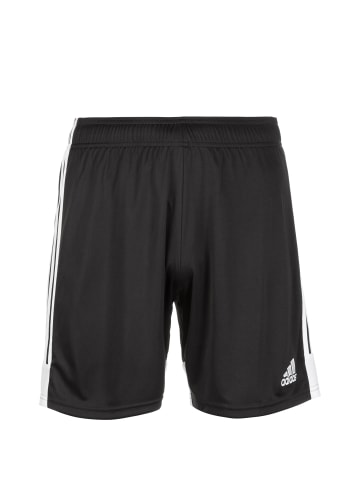 adidas Performance Funktionsshorts Tastigo 19 in schwarz / weiß