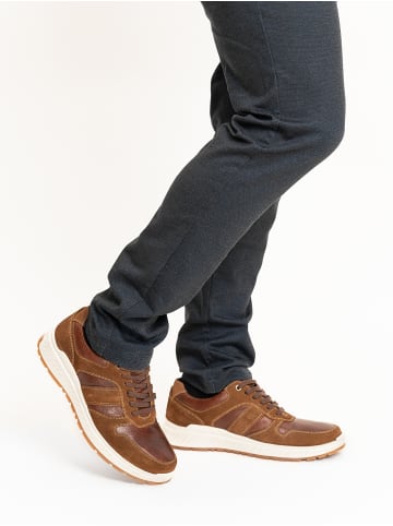 ara Sportlicher Schnürschuh in braun