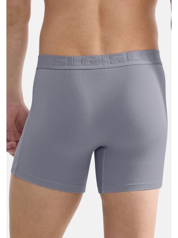 Sloggi Long Short / Pant SLG Base Soft in Morandi grey