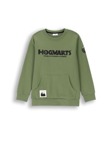 Coccodrillo Sweatshirt in grün