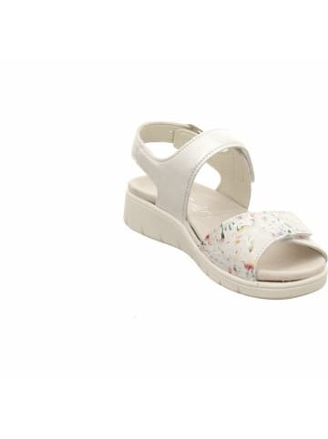 Semler Sandalen für Damen in kombi