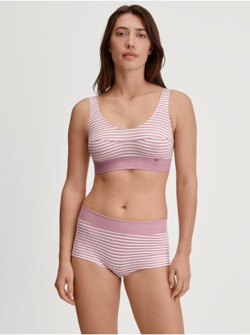 Calida Panty in rose print