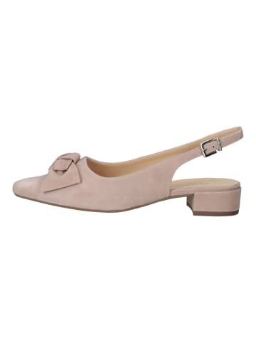 PETER KAISER Pumps in Mauve