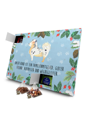 Mr. & Mrs. Panda Tee Adventskalender Hund Australien Shepherd mi... in Eisblau