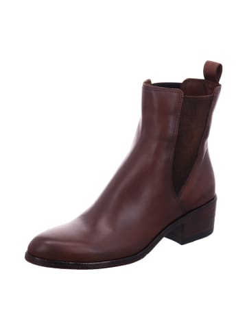 MJUS Chelsea Boots in Braun