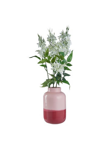 Butlers Vase TWO TONE in Pink