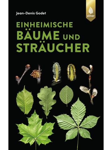 Ulmer Einheimische Bäume und Sträucher