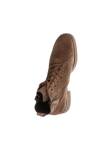 Paul Green Stiefeletten für Damen in taupe