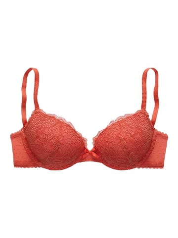 Vivance Push-up-BH in sunset