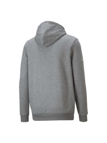 Puma Sweatshirt in Grau