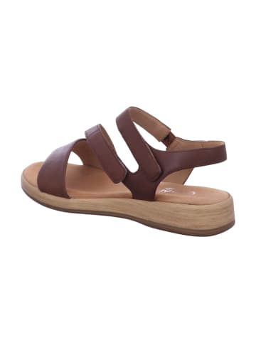 Gabor Comfort Sandalette in braun