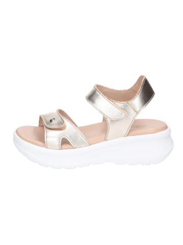 PANAMA JACK Schnürschuh in gold