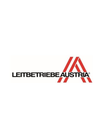 Riess Fleischtopf mit Deckel geflammt in Schwarz