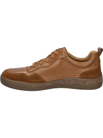 Josef Seibel Sneaker Cleve 01 in beige