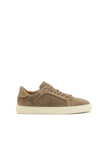 Kazar Sneaker Low in Taupe