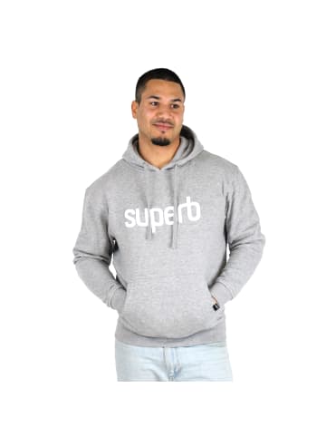 Superb Hoodie in Gray