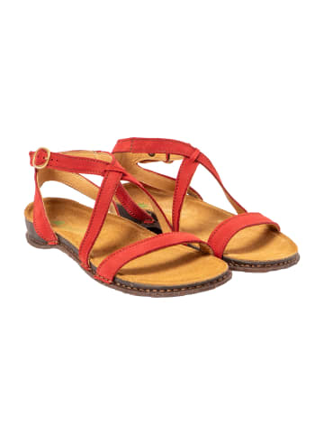 El Naturalista Sandalen rot