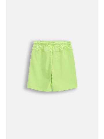 Coccodrillo Kurze Baumwollshorts in limonengrün